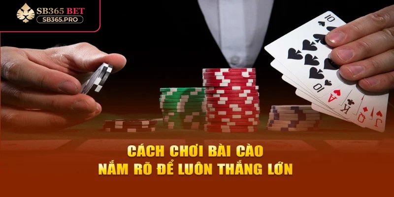 Cách chia bài đúng