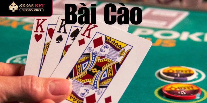 Đôi nét về Bài cào