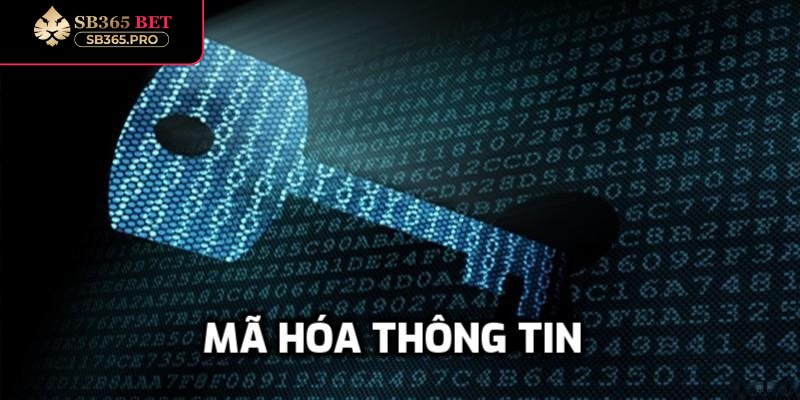 Mã hóa dữ liệu giúp tăng cường bảo mật tuyệt đối