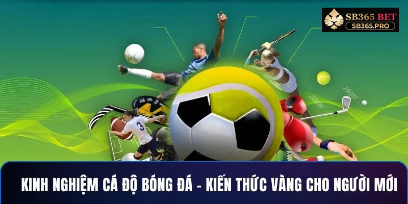 Cách cá độ bóng đá hiệu quả – Hướng dẫn chi tiết cho người mới