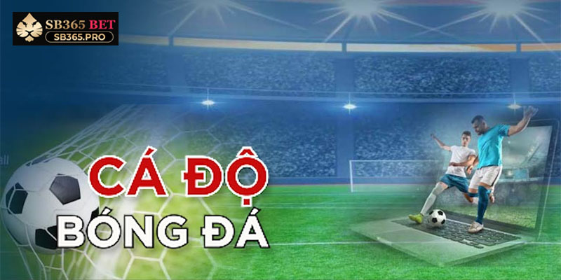 Chọn nhà cái cá độ bóng đá – Tỷ lệ kèo hấp dẫn, khuyến mãi siêu khủng